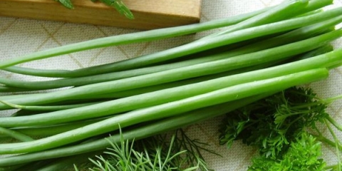 Kako saditi luk na zelje u proljeće na otvorenom polju i stakleniku